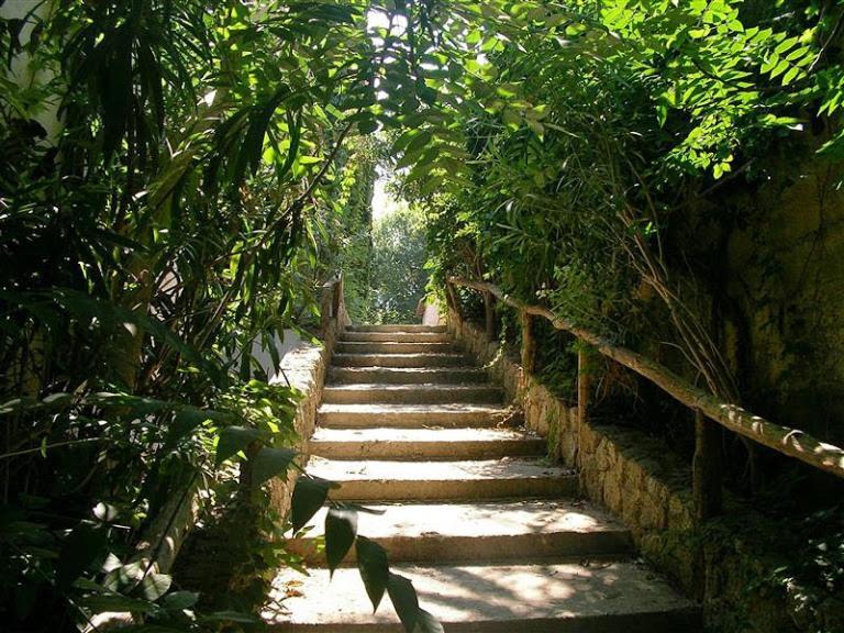 Case Vacanze Giardino Parghelia Ngoại thất bức ảnh